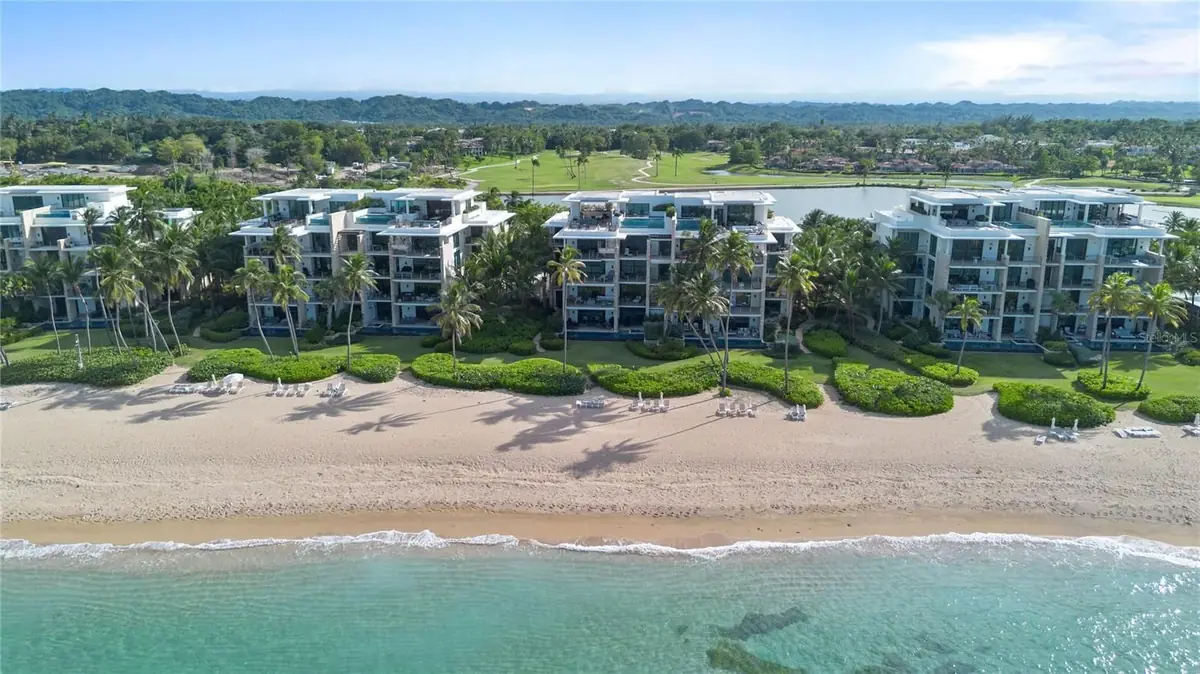 Palm trees and ocean view in Dorado